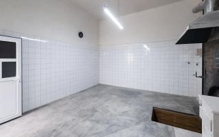 Ansamblu casa+productie+comercial, 3 corpuri,acces stradal,Tudor,Targu Mures - Poză 4