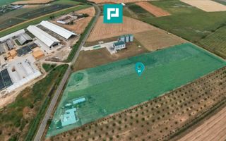 Livadă de 3,6 hectare în Iratoșu – Oportunitate - Poză 1