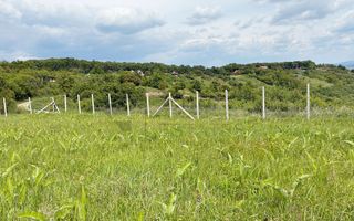 Teren 9461 mp cu panorama in Cartierul Podgoria din Oradea - Poză 4