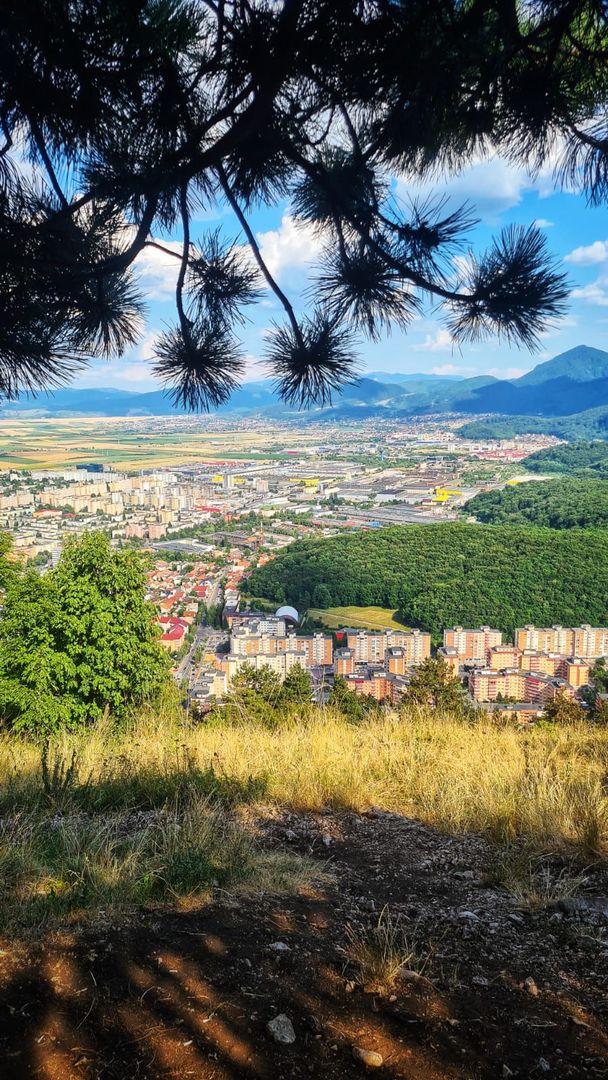 Exclusivitate - 2 camere, lângă Dealul Melcilor, aproape de Parcul Trandafirilor - Poză 2