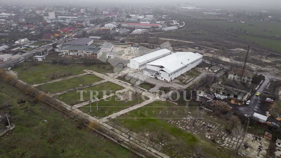 Teren 28.788m + Hale industriale + Sediu Firma - Poză 2