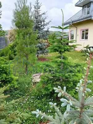 Apartament la parter, casa cu etaj, Mogosesti - Iasi, 10 km, 4 camere, 220 mp, 155.000 RON - Poză 7