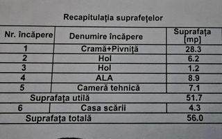 Vilă cu curte mare și piscină – ideală pentru familie, Pipera - Poză 47