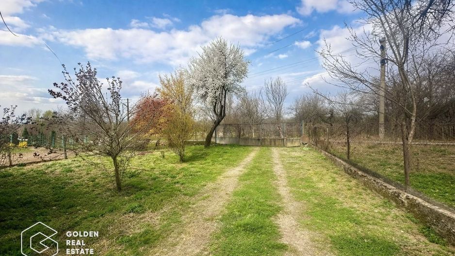 Casă cu teren generos 1.944 mp, Măgulicea, Vârfurile - Poză 14