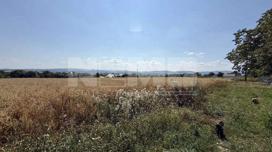 Teren intravilan de vânzare | Horodnic de Sus | 77 ari - Poză 6