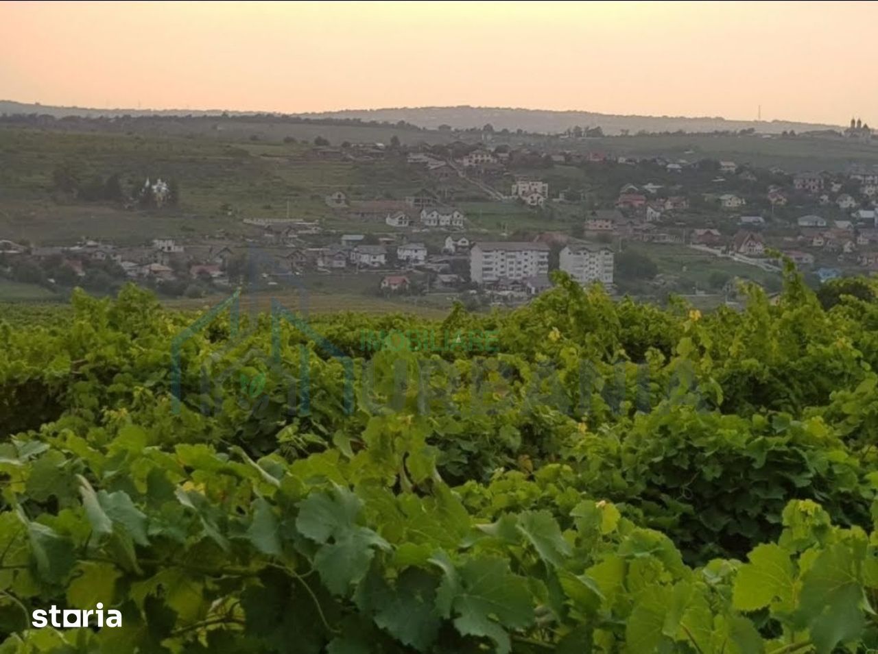 Teren intravilan 1.600 mp, Vișan, str. Al. Macedonski – ideal dezvoltare duplexuri/bloc - Poză 2