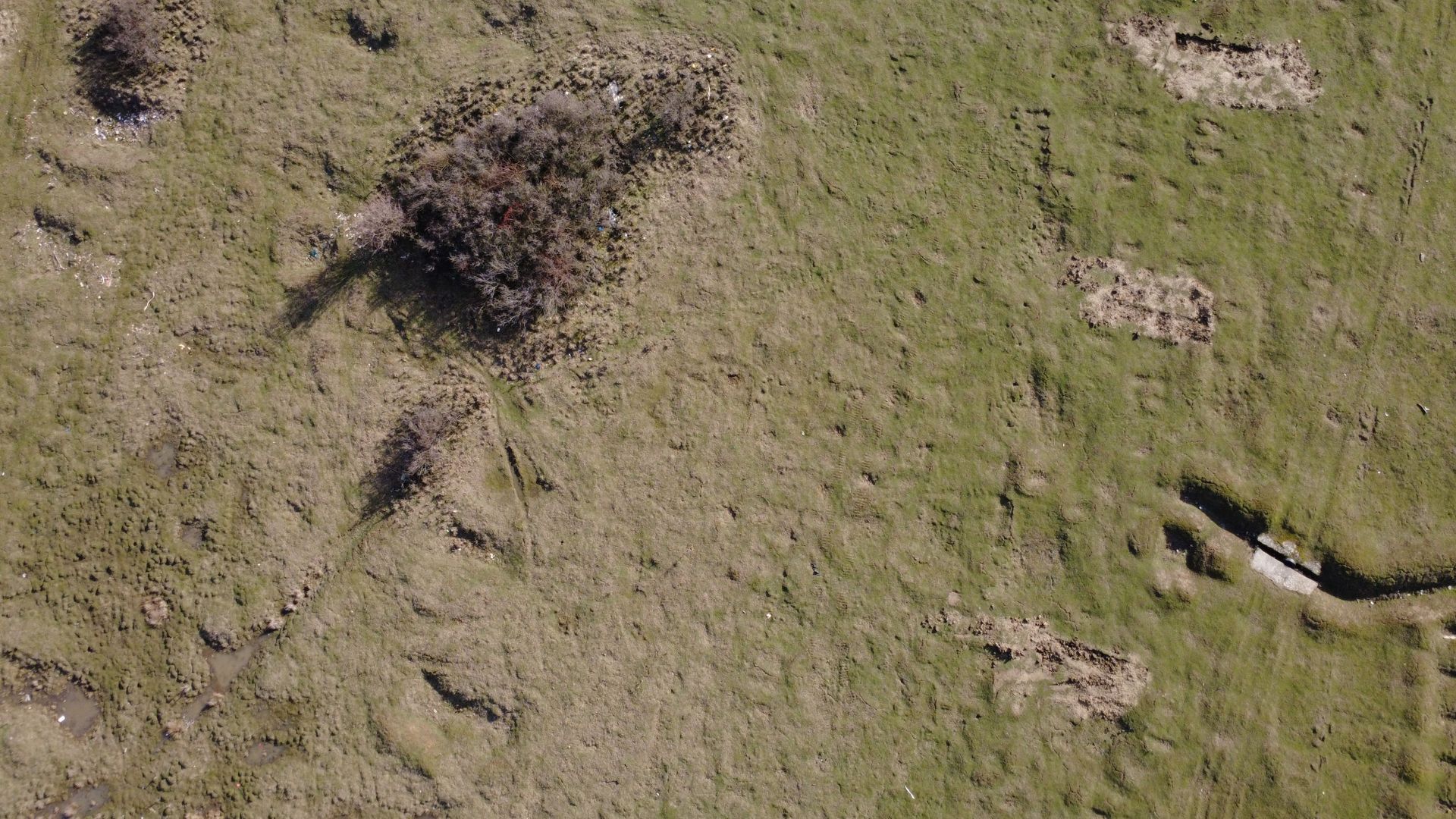 COMISION 0% | Teren Intravilan - Pentru Constructie Bloc - Giroc - Poză 4