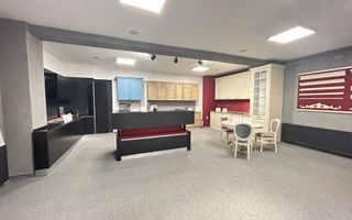 Imobil S+D+P+E+M - Centru - str. Siretului v-a-v de Regina Maria 678mp - Poză 3