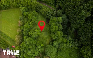 Teren intravilan 2.800 m² în Câmpu Cetății – liniște și natură - Poză 13