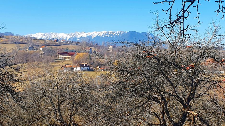 Bran-Sohodol, casă bătrânească cu utilități și teren 4039mp, comision zero. - Poză 7