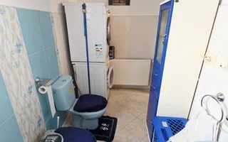 Vilă premium 5 camere cu salină și garaj | Coțofenești - Poză 24