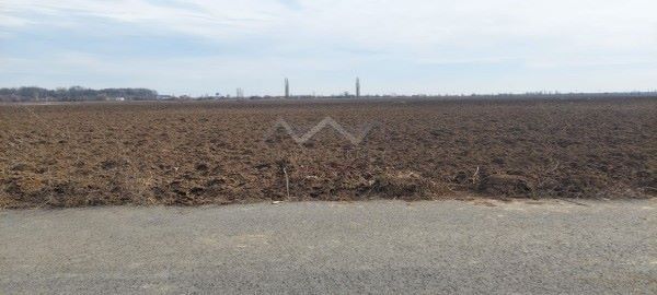 Parcelă teren 433 mp lângă pădure - Poză 3