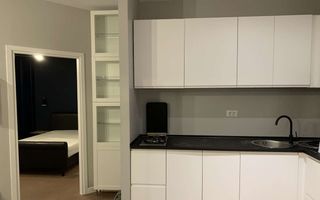 2 camere Herastrau-Aron Cotrus - Poză 4