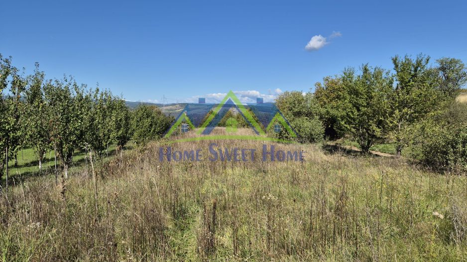 Teren intravilan în zona Lătureni – Buituri, în spatele casei nr. 100! - Poză 5