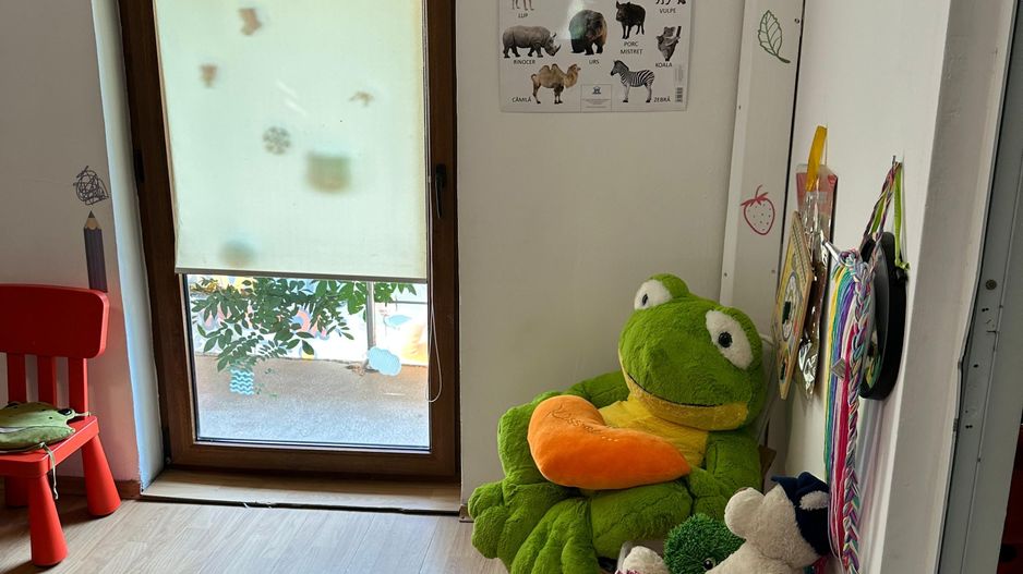 SPATIU COMERCIAL DOMENII, LOC PARCARE, CENTRALA, MOBILAT/UTILAT, CURTE - Poză 2