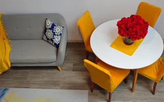 Apartament “de revista”, la casa in Elisabetin- zona consulatelor. - Poză 20