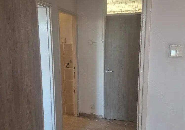 APARTAMENT METROU ZONA TINERETULUI - Poză 9
