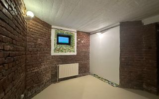 Inchiriere Vila Interbelica cu Curte - Birou - Dorobanti - Capitale - Poză 24