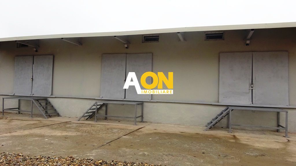 Hala de vanzare, Ampoi 3 - Poză 3