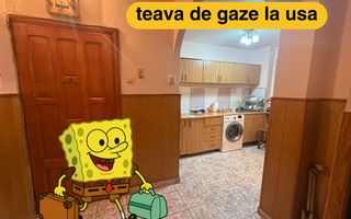 Apartment 2 camere Brazda lui Novac et 3/4 - Poză 4