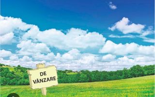 Teren investițional Chișoda | 974 mp | 2 fronturi | PUZ servicii - Poză 3