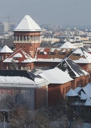 Apartament Piata Victoriei / Titulescu - Poză 9