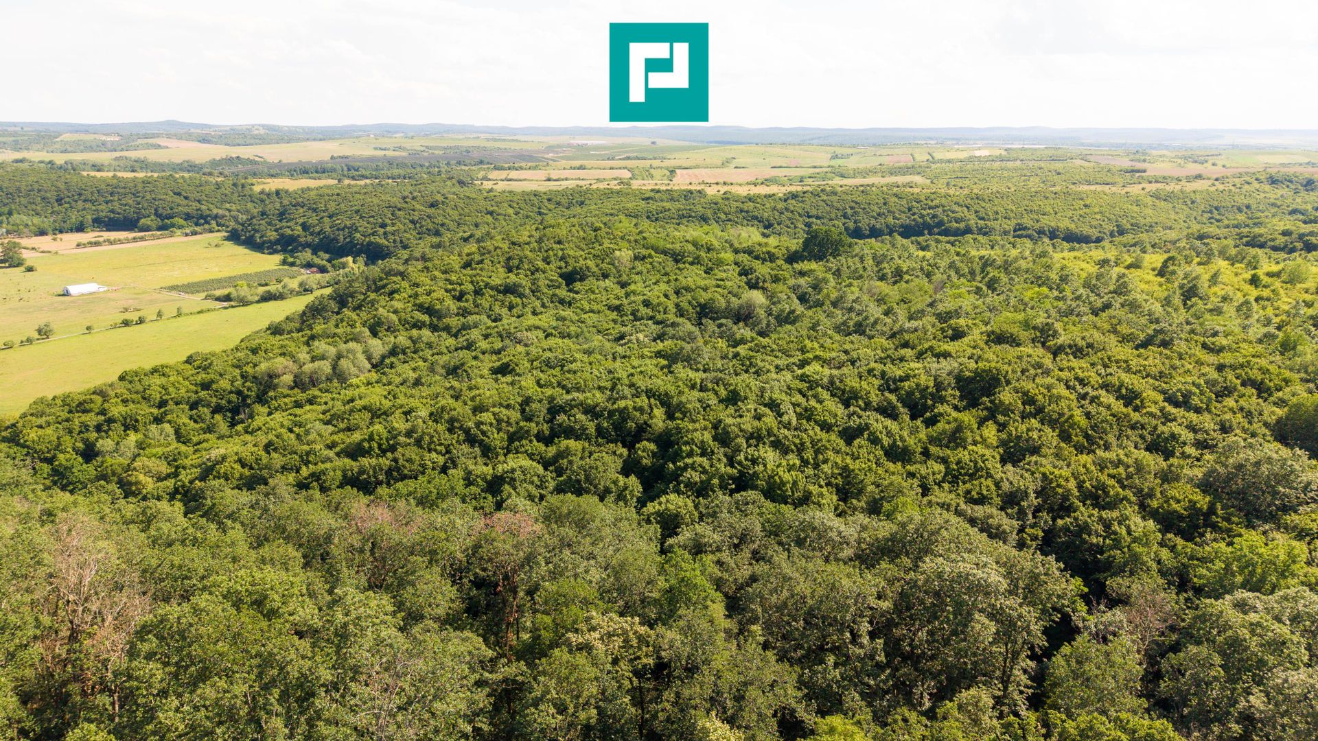 TEREN AGRICOL EXTRAVILAN  22.900 MP LIPOVA - Poză 8