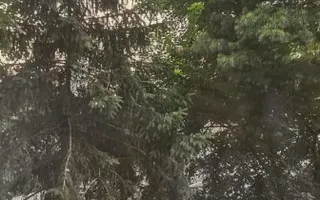 Inchiriere garsoniera semidecomandata, Piata Muncii - Poză 12