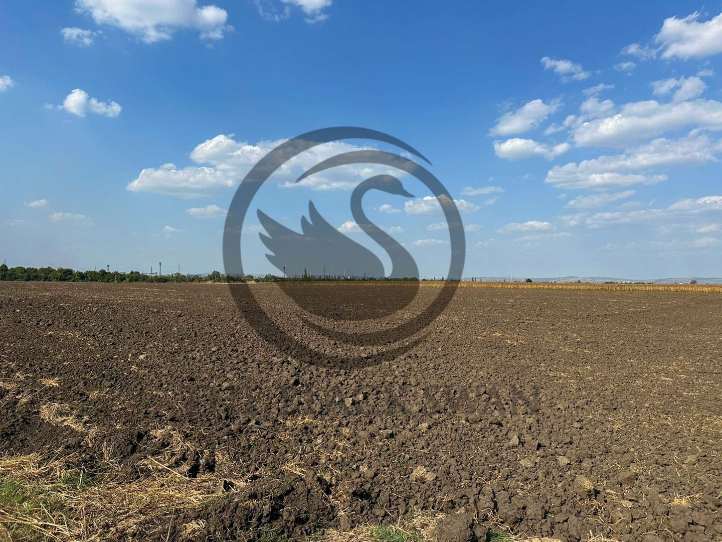 Teren extravilan de vanzare | 9882mp | Berceni - Prahova | Comision 0% - Poză 2