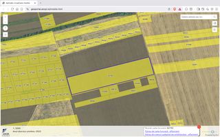 Teren intravilan 18.200 mp Saftica Balotesti - Poză 2