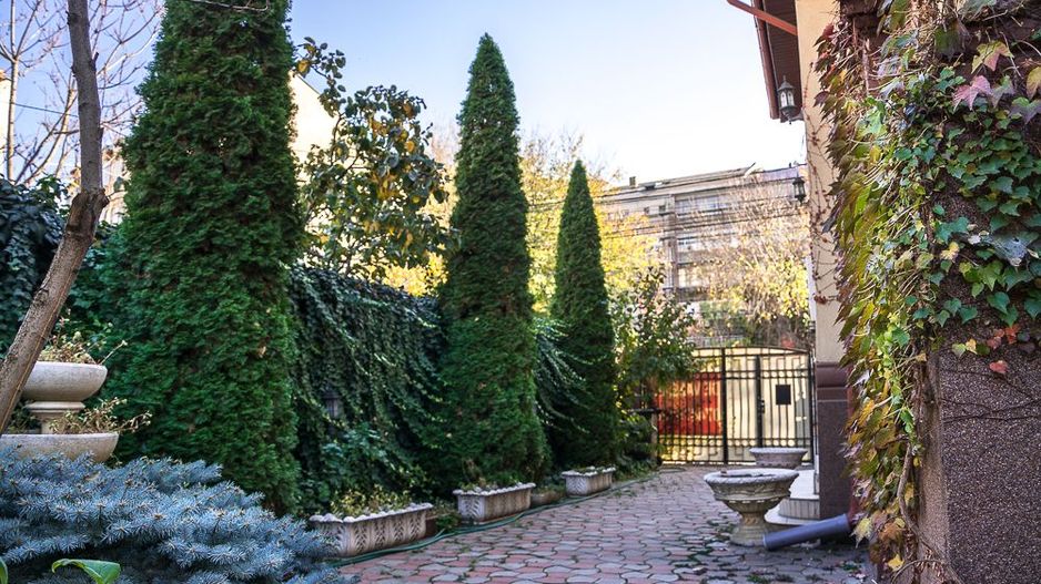 VILA INTERBELICA RENOVATA COMPLET - Poză 3