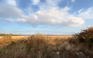 Fermă Sărand | Bihor | 25.659 mp teren intravilan - Poză 22