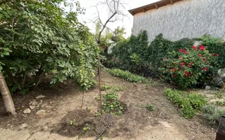 Casa individuala cu teren 386mp in zona Cora Alexandriei - Poză 13