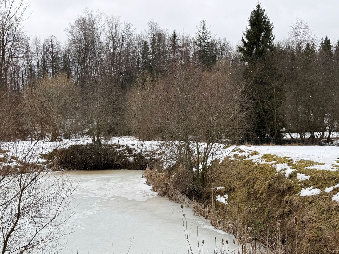 Teren extravilan | Horodnic De Sus | 3600MP - Poză 11