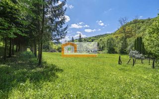 Oportunitate, Restaurant cu MiniPensiune 800mp, 1,8ha teren, Via Transilvanica - Poză 60