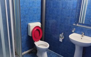 Camere pentru muncitori de inchiriat, 16-35mp, toate Nationalitatile - Poză 38