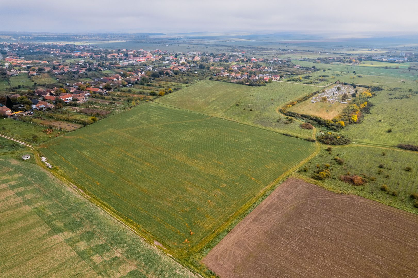 Teren de 50.000mp în Pișchia - Poză 3