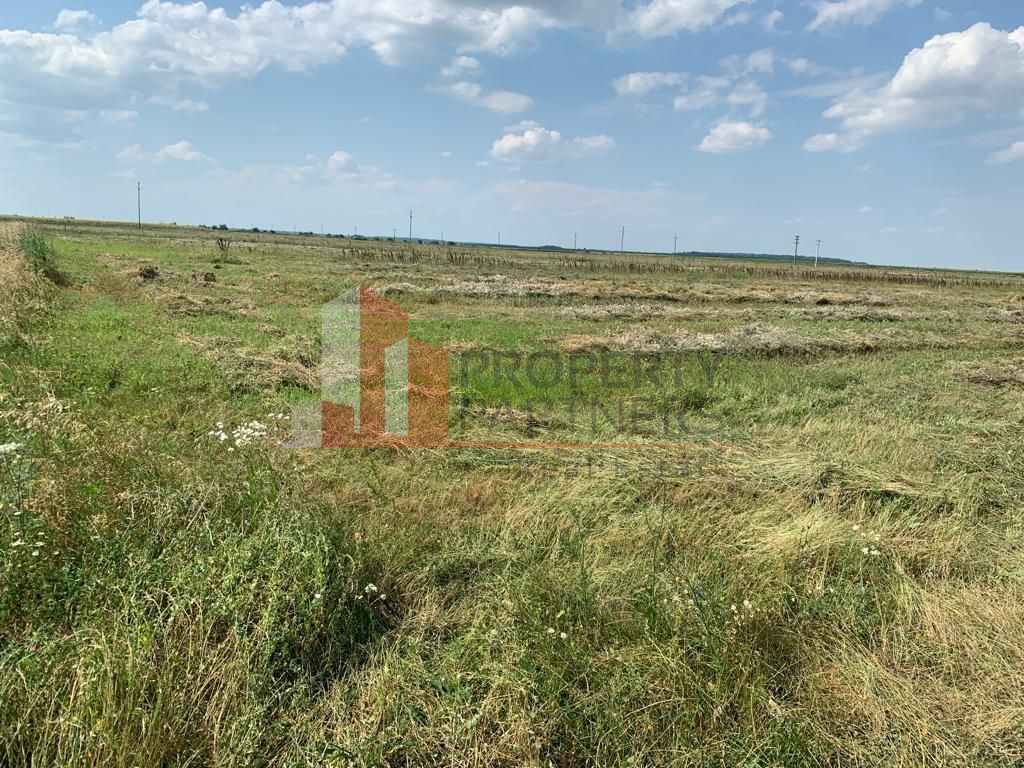 Teren pentru investitii rezidentiale, Moara Vlasiei, Caciulati, A3 - Poză 1