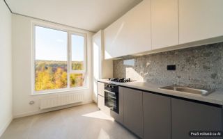 2 dormitoare separate | 48,5 m² | Reparație modernă | Valea Apelor, Codru - Poză 5