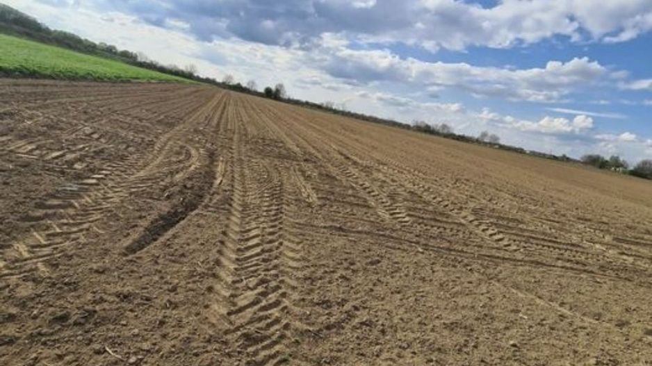 Vand teren extravilan in Martinesti - Poză 1