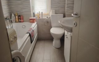 Ap 3 cam cu Pod Înscris în CF | Mobilat, Utilat | Hornbach-Dumbravita - Poză 8