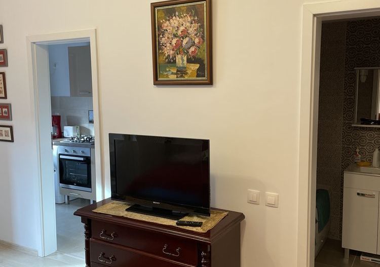 Garsoniera  Matei Basarab/Calea Călărașilor - Poză 2