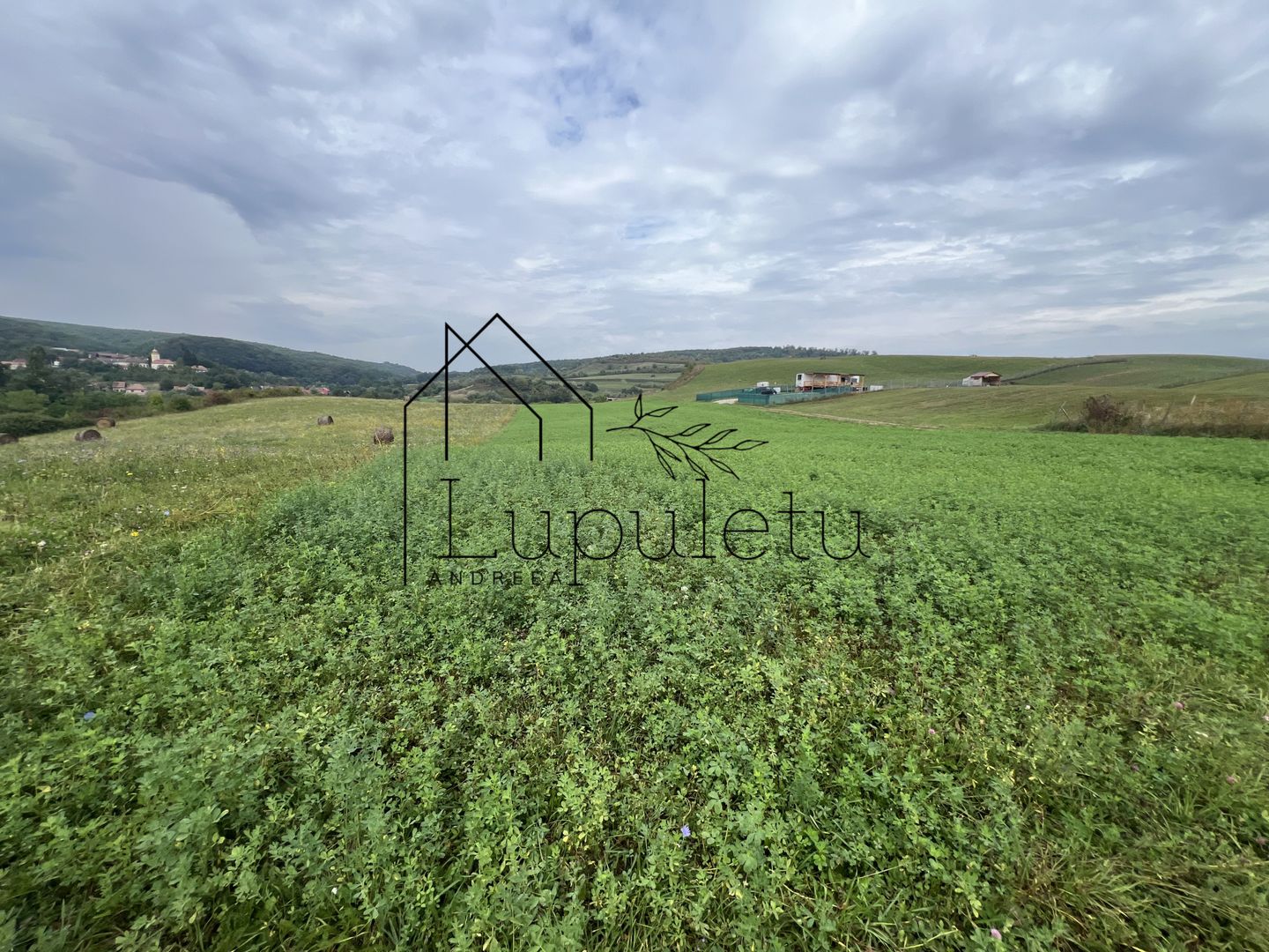 Teren | 1.500 MPU | Bradu - Poză 1