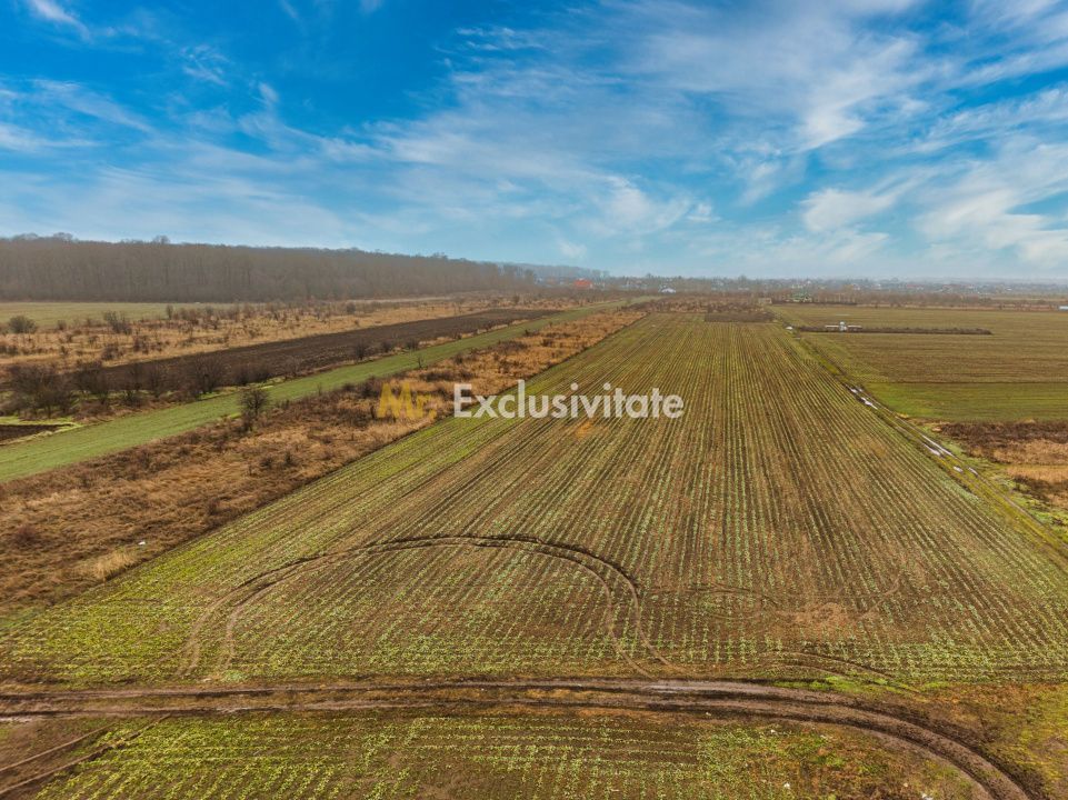 Teren intravilan 5040 mp, deschidere dubla - Poză 5