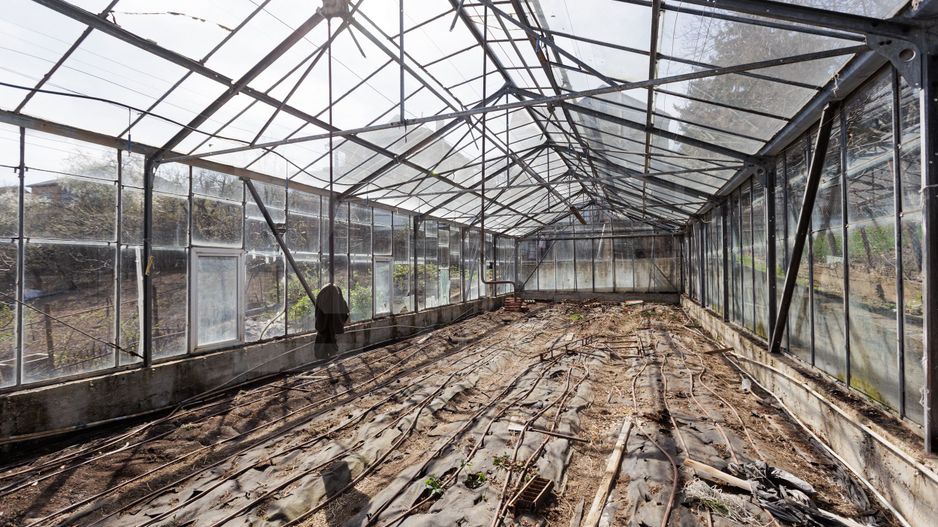 Vânzare, casă, 4 camere, str. Galați, Codru - Poză 20