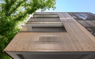 Floreasca–Dorobanți, doua etaje, 4 camere, curte proprie, vila 2025 - Poză 3