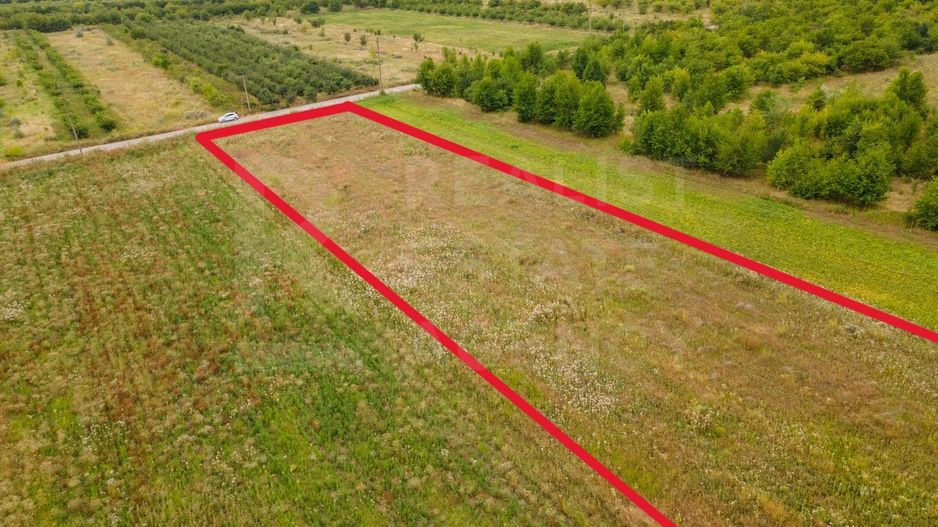 Vânzare, teren, 50 ari, str. Tineretului, Trușeni - Poză 1