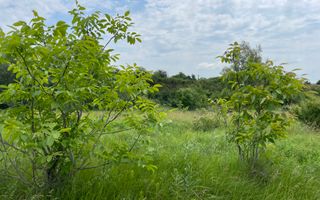 Teren intravilan***1439 mp***Cretesti-Vidra-Ilfov - Poză 24