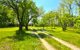 Proprietate unica, vila si 8000 mp pe malul lacului Snagov - Poză 37