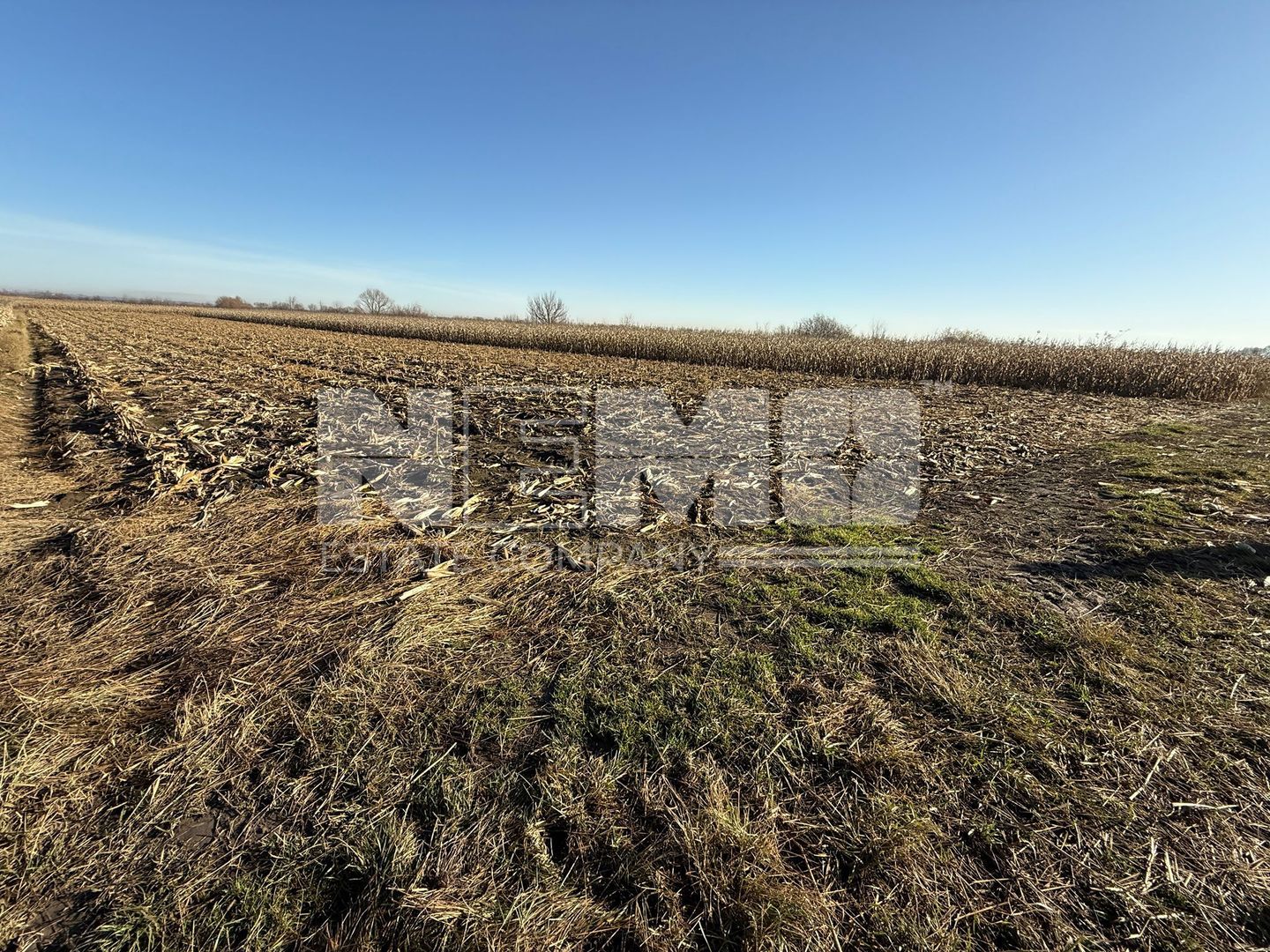 TEREN EXTRAVILAN  51 ARI |  HORODNIC DE JOS  | - Poză 1